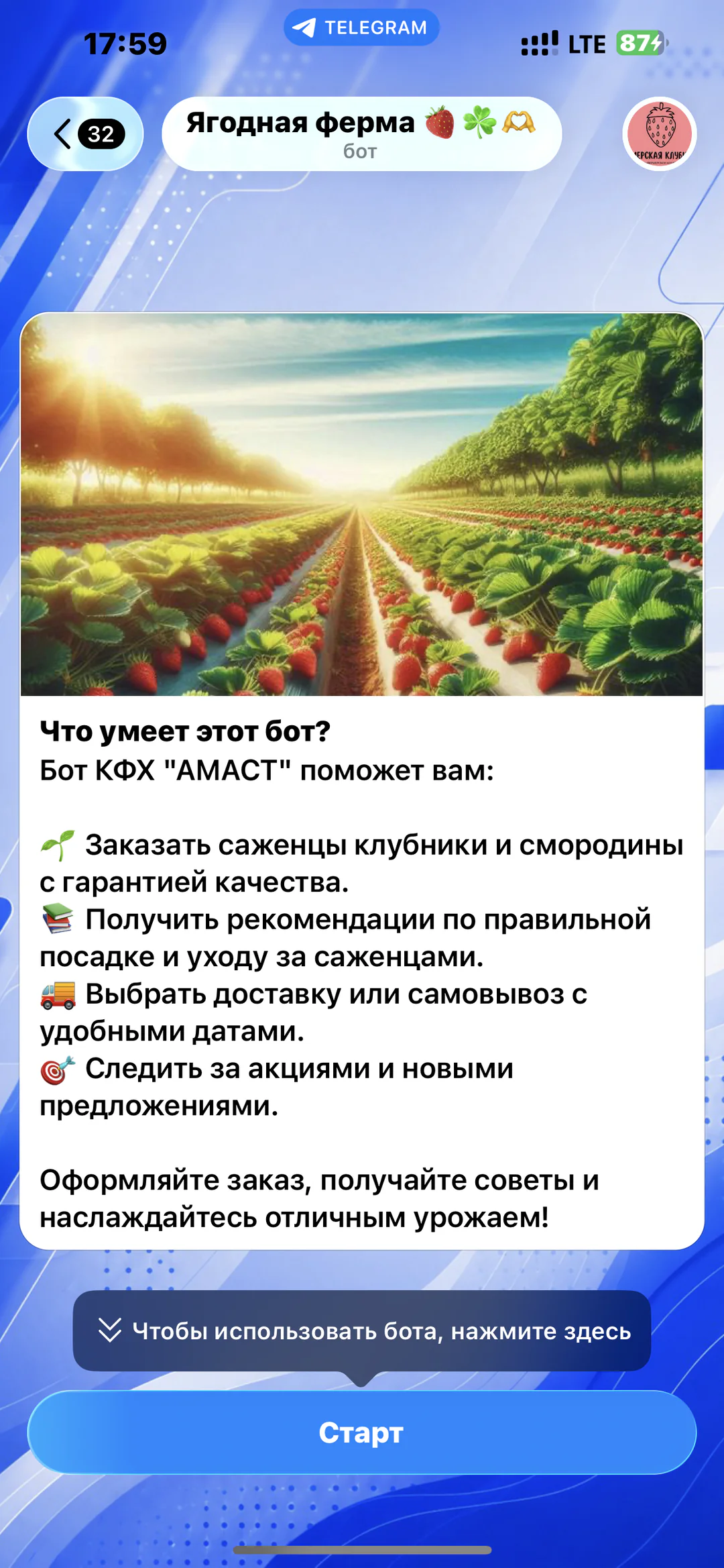 Ягодная ферма — бот КФХ «АМАСТ»: презентация фермы, возможности бота и основной сценарий заказа