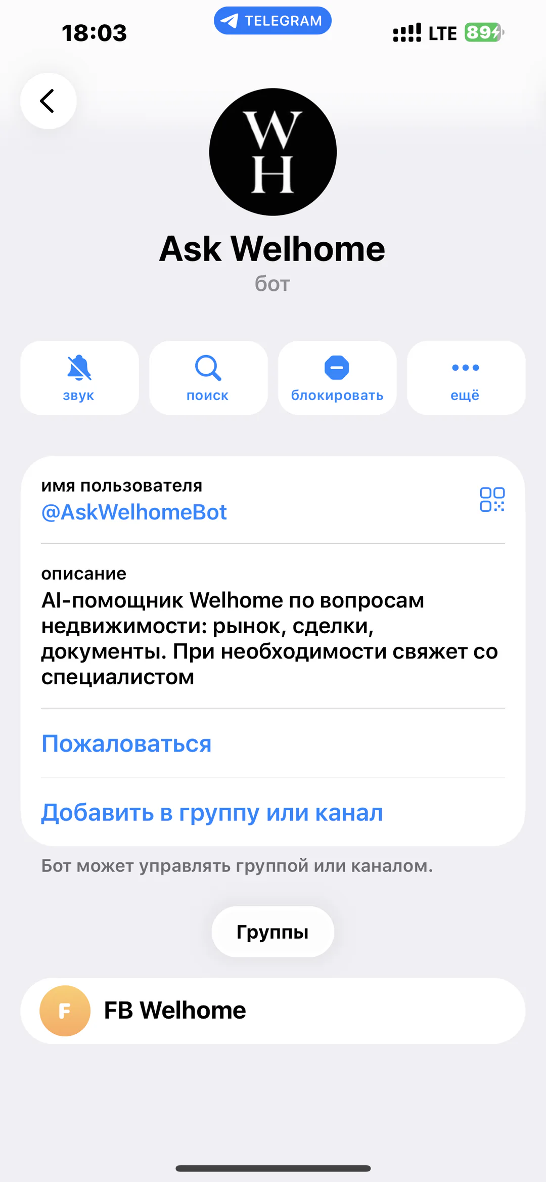 Ask Welhome: карточка AI-помощника Ask Welhome